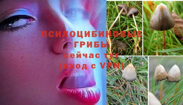 эйфоретик Магадан