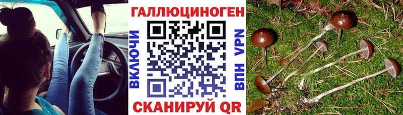 Купить где  Кологрив  Псилоцибиновые грибы ЛСД 